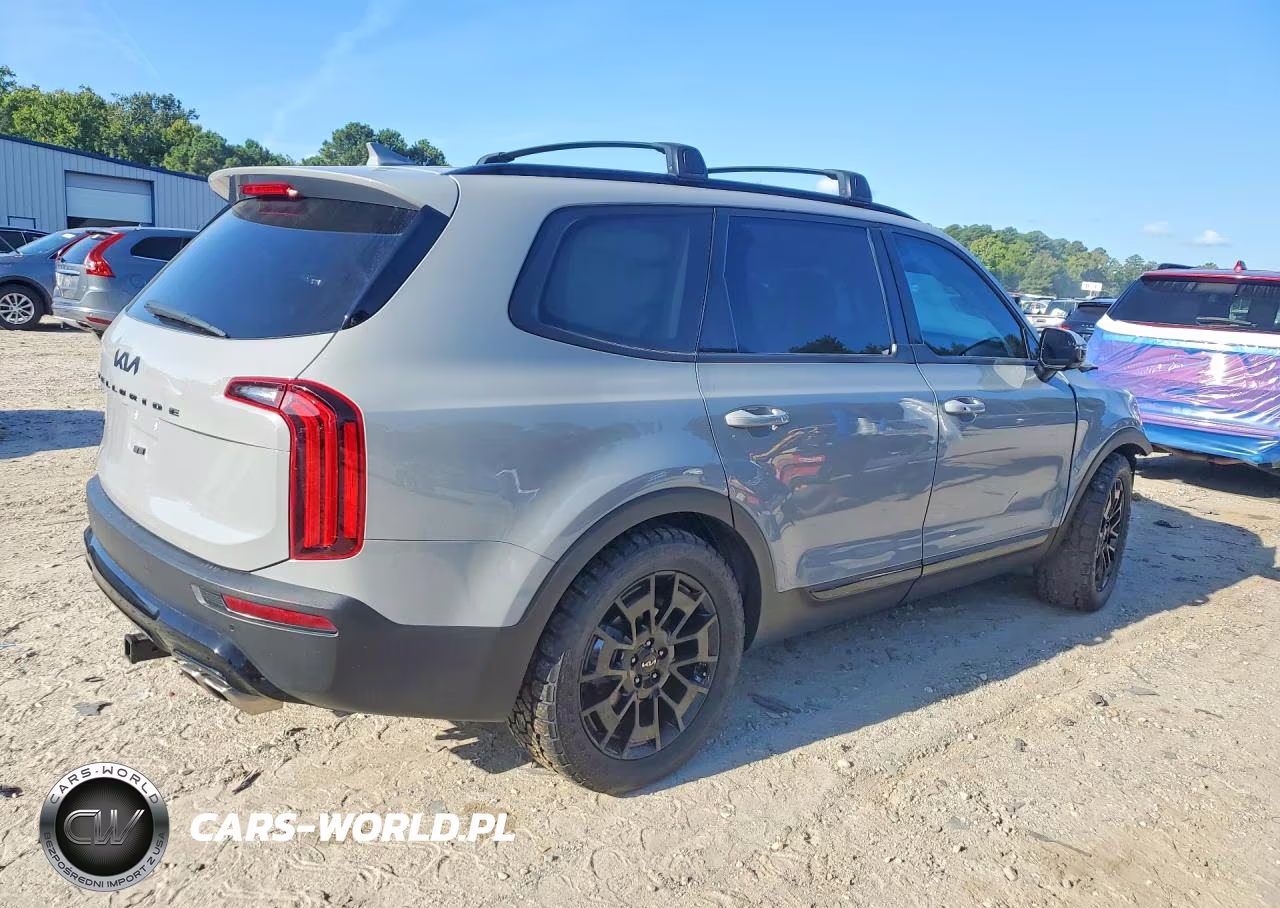 2022 Kia Telluride Sx VIN:5XYP5DHCXNG238980 - 3