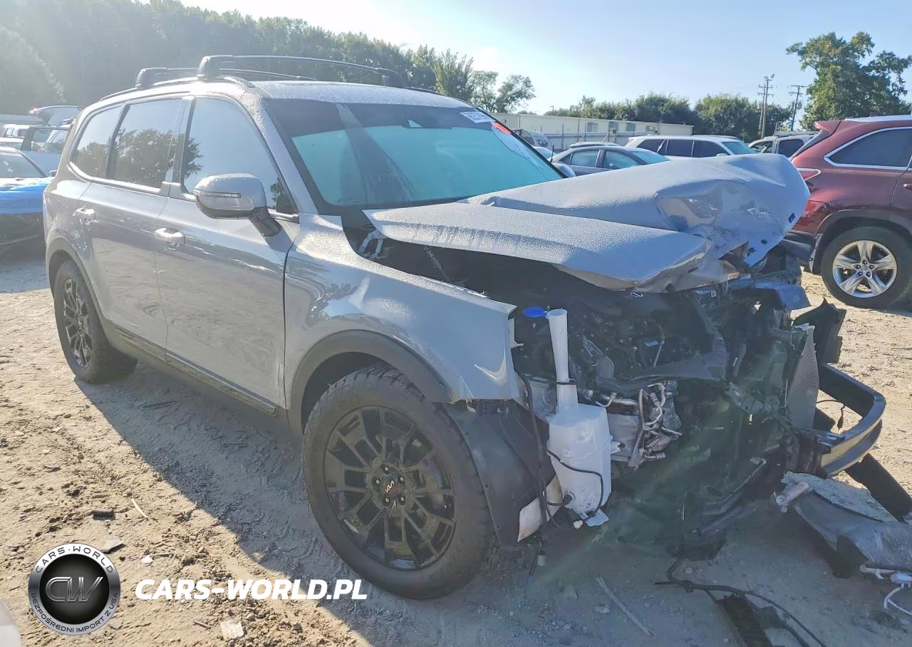 2022 Kia Telluride Sx VIN:5XYP5DHCXNG238980 - 4