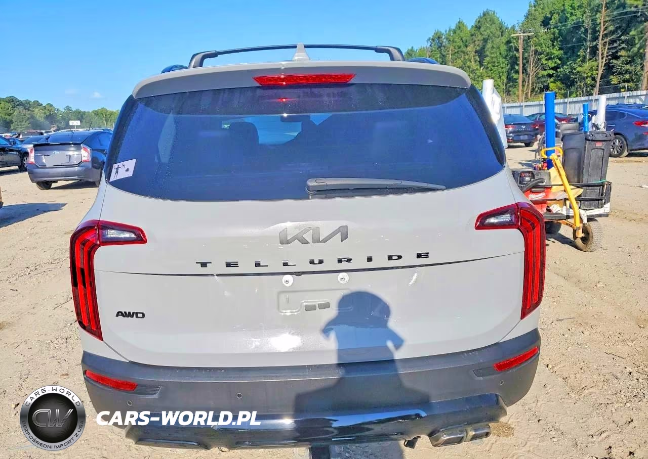 2022 Kia Telluride Sx VIN:5XYP5DHCXNG238980 - 6