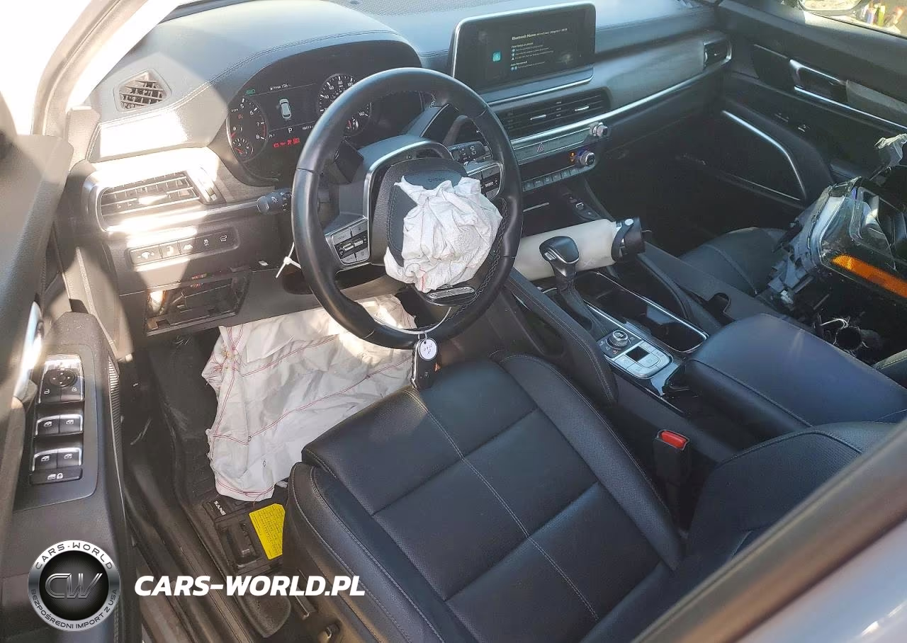 2022 Kia Telluride Sx VIN:5XYP5DHCXNG238980 - 8