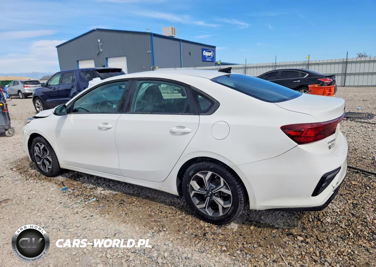 2019 Kia Forte Lxs VIN:3KPF24AD3KE135450 - 2