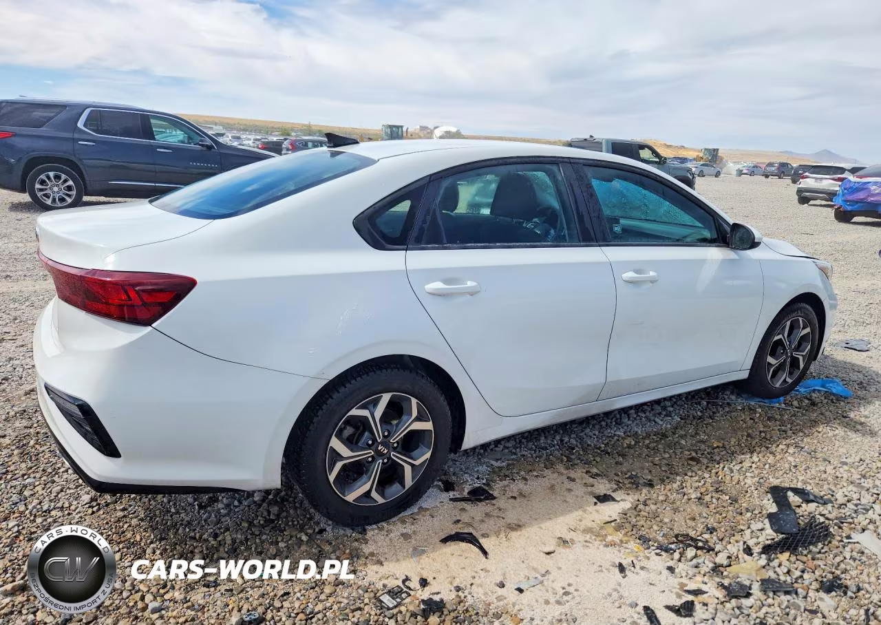 2019 Kia Forte Lxs VIN:3KPF24AD3KE135450 - 3