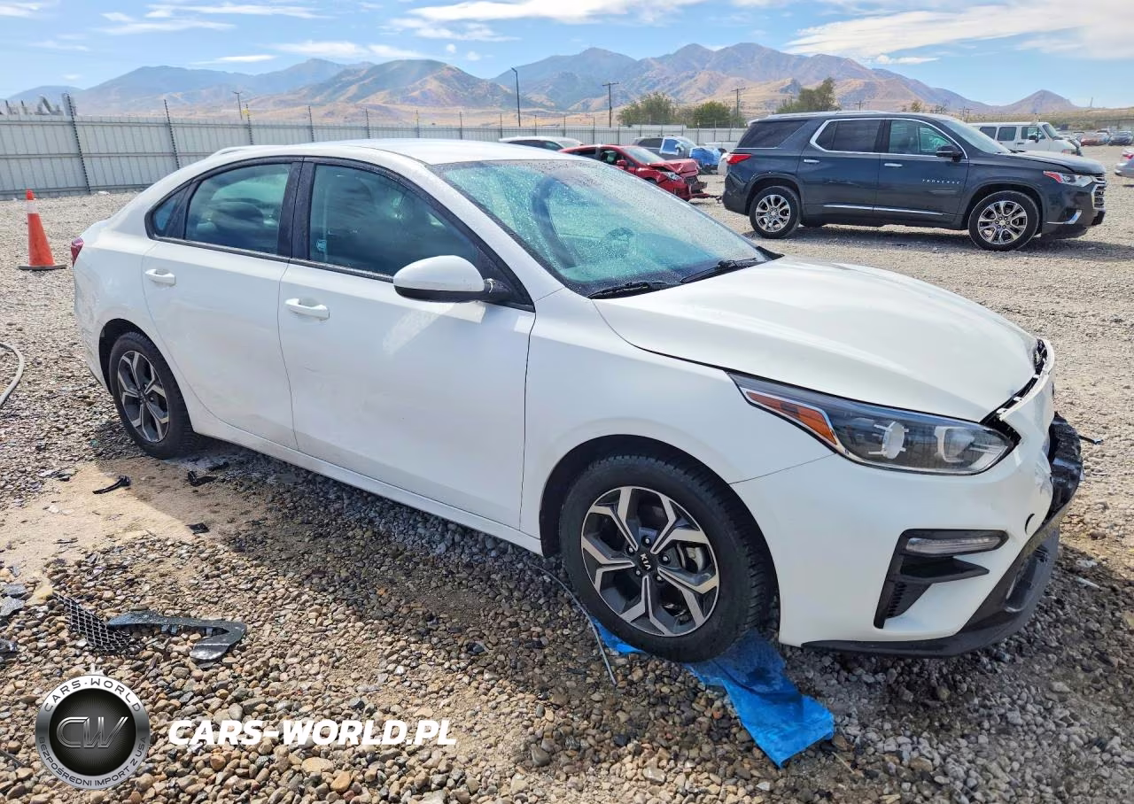 2019 Kia Forte Lxs VIN:3KPF24AD3KE135450 - 4