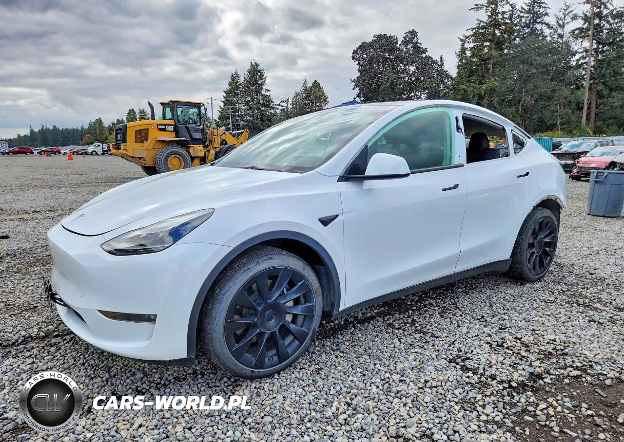 2023 Tesla Model Y VIN:7SAYGAEE0PF622153 - 1
