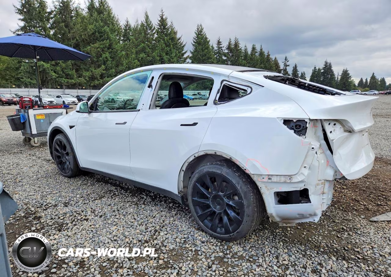 2023 Tesla Model Y VIN:7SAYGAEE0PF622153 - 2