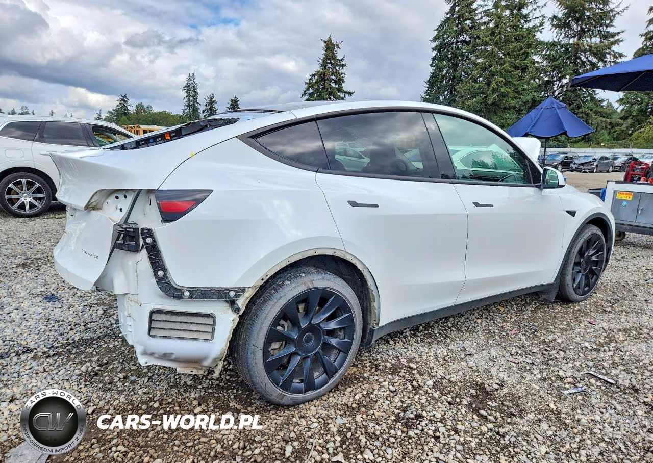 2023 Tesla Model Y VIN:7SAYGAEE0PF622153 - 3