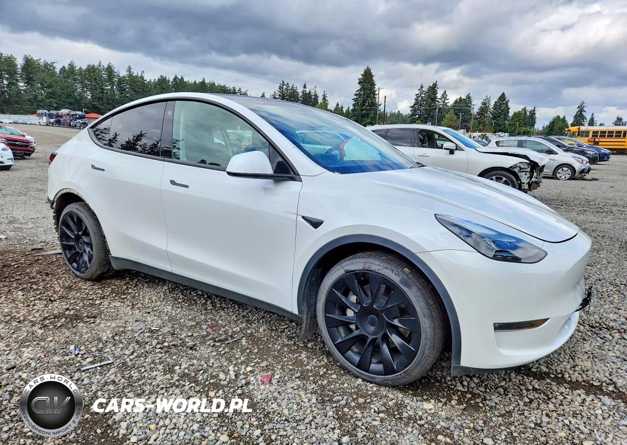 2023 Tesla Model Y VIN:7SAYGAEE0PF622153 - 4