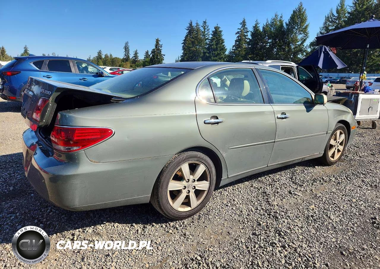 2005 Lexus Es 330 VIN:JTHBA30G155085640 - 3