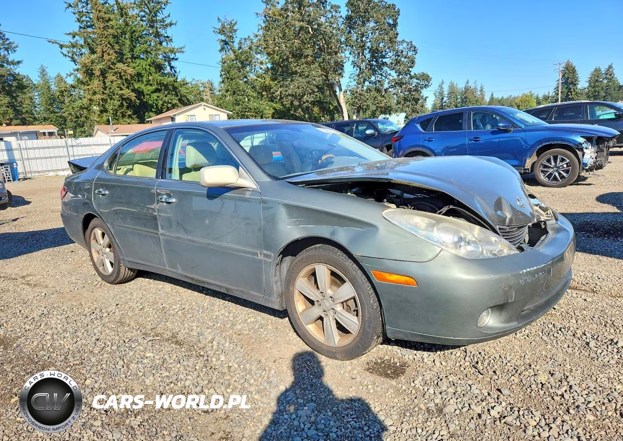 2005 Lexus Es 330 VIN:JTHBA30G155085640 - 4