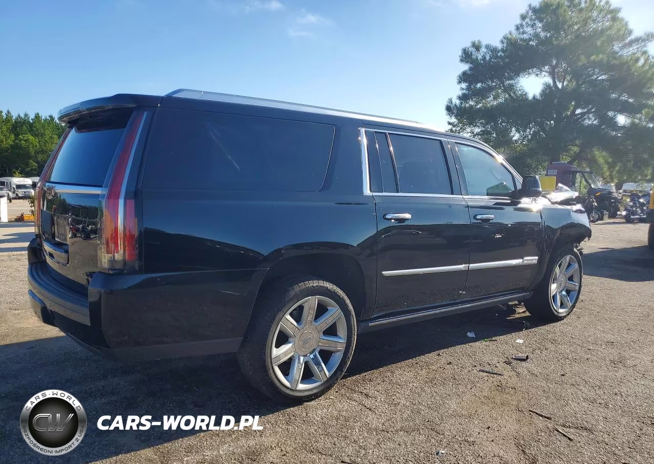 2016 Cadillac Escalade Esv Premium VIN:1GYS4JKJ8GR334673 - 3