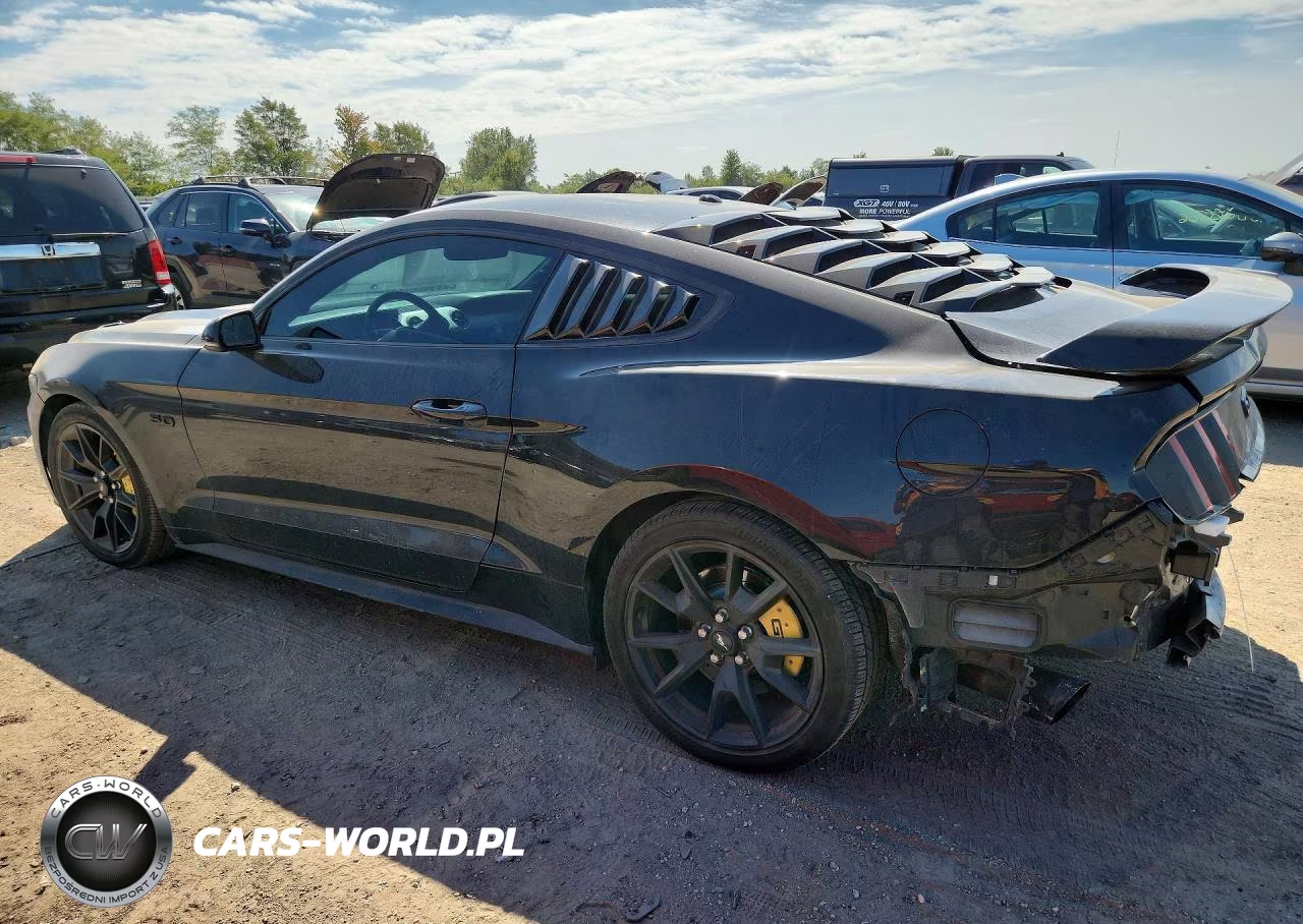 2017 Ford Mustang Gt VIN:1FA6P8CF8H5272644 - 2
