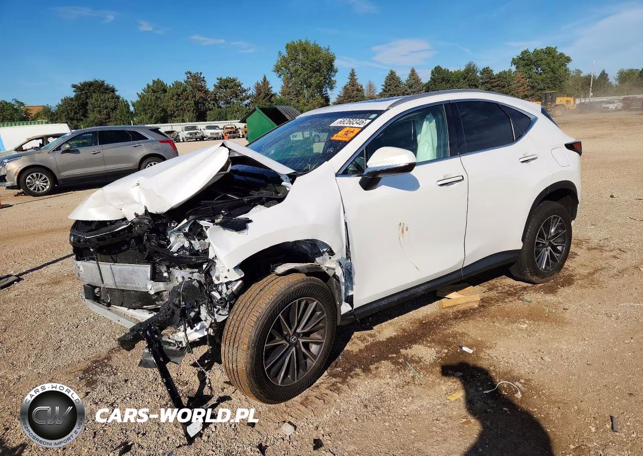 2024 Lexus Nx 350 Premium VIN:2T2GGCEZ2RC040484 - 1