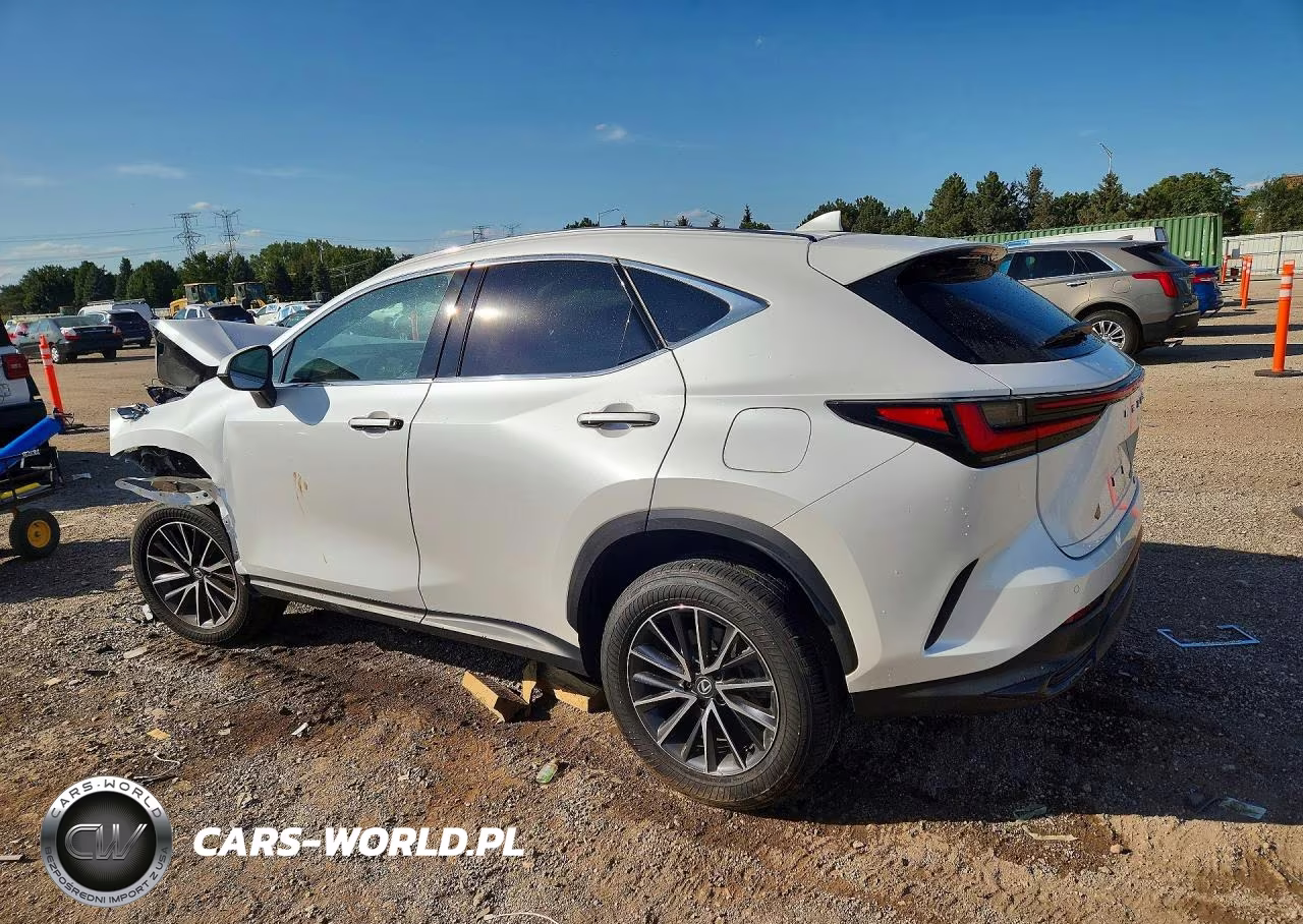 2024 Lexus Nx 350 Premium VIN:2T2GGCEZ2RC040484 - 2