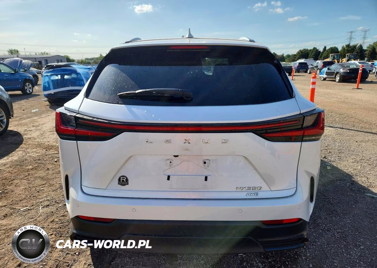 2024 Lexus Nx 350 Premium VIN:2T2GGCEZ2RC040484 - 6
