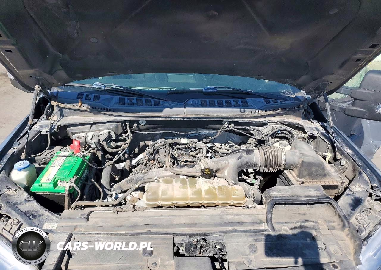 2019 Ford F150 Supercrew VIN:1FTEW1EP3KKD44414 - 11