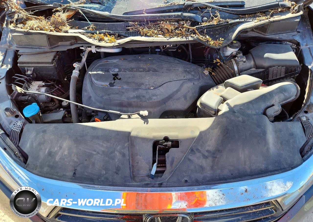 2023 Honda Odyssey Touring VIN:5FNRL6H84PB017908 - 12