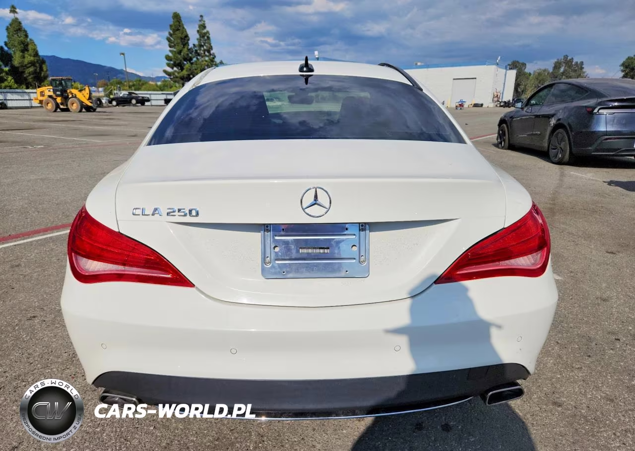 2014 Mercedes-Benz Cla 250 VIN:WDDSJ4EBXEN031439 - 6