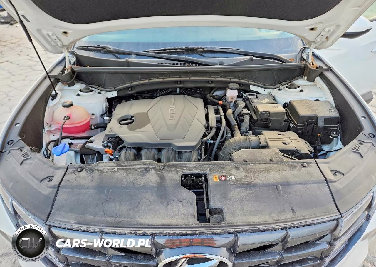 2024 Hyundai Tucson Sel VIN:5NMJBCDE0RH332975 - 12