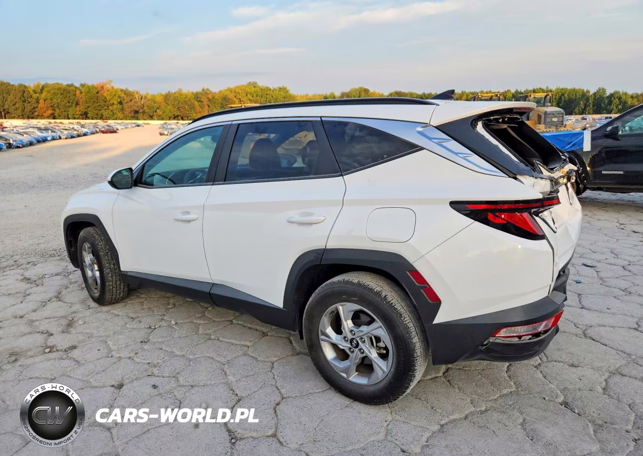 2024 Hyundai Tucson Sel VIN:5NMJBCDE0RH332975 - 2