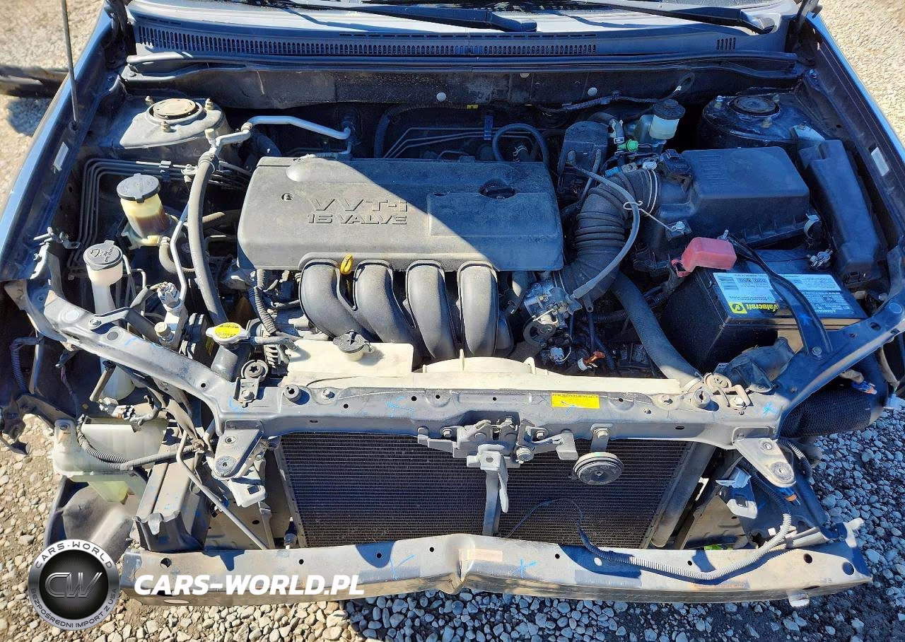 2003 Toyota Corolla Le VIN:JTDBR38E432002780 - 11