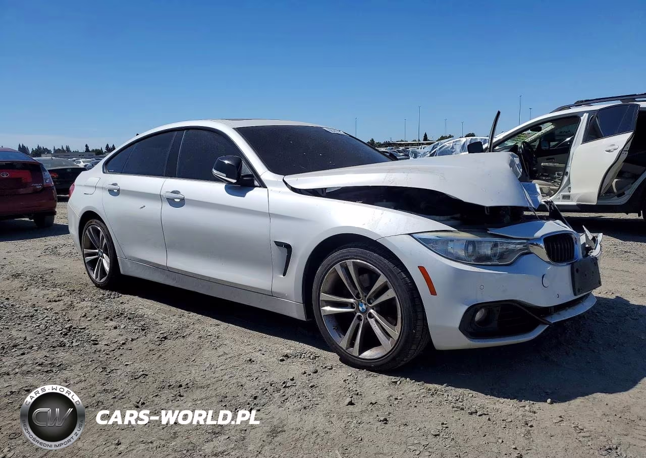 2015 BMW 428 Xi Gran Coupe Sulev VIN:WBA4C9C51FD330359 - 4