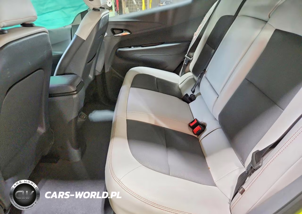 2019 Chevrolet Bolt Ev Premier VIN:1G1FZ6S07K4124965 - 10