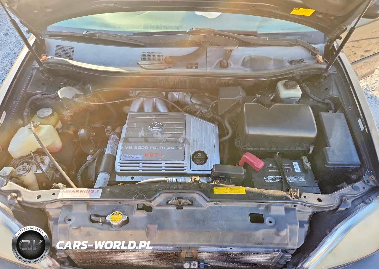 2001 Lexus Rx 300 VIN:JTJHF10U110181540 - 12