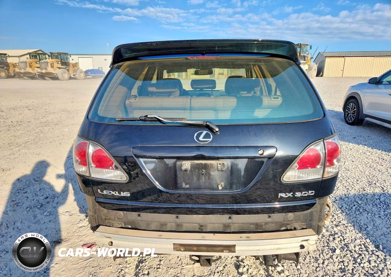 2001 Lexus Rx 300 VIN:JTJHF10U110181540 - 6