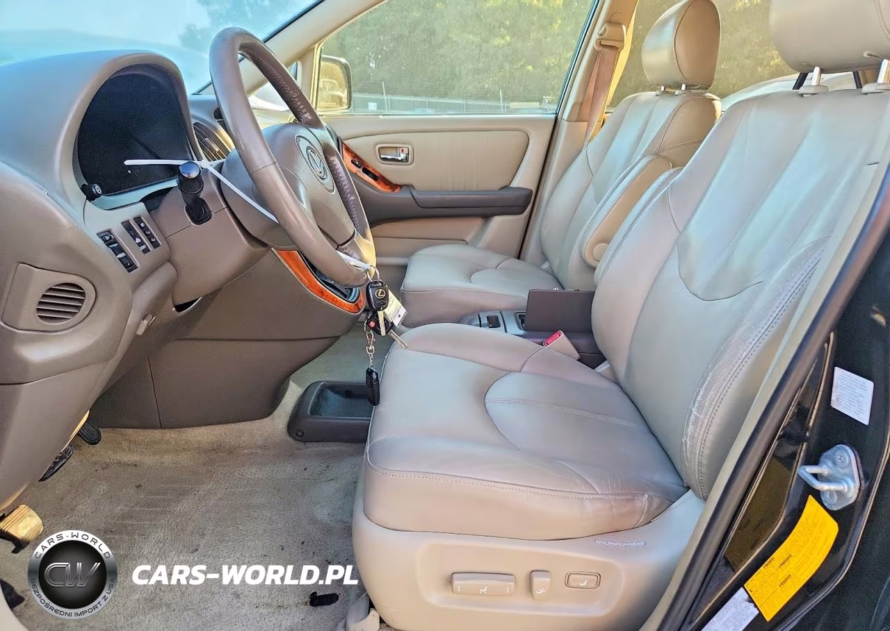 2001 Lexus Rx 300 VIN:JTJHF10U110181540 - 7