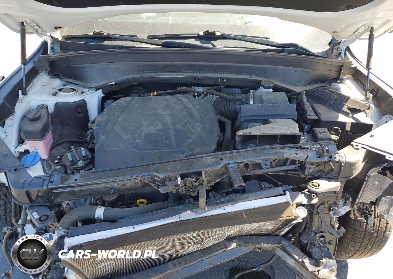 2023 Kia Telluride S VIN:5XYP64GC9PG383249 - 12