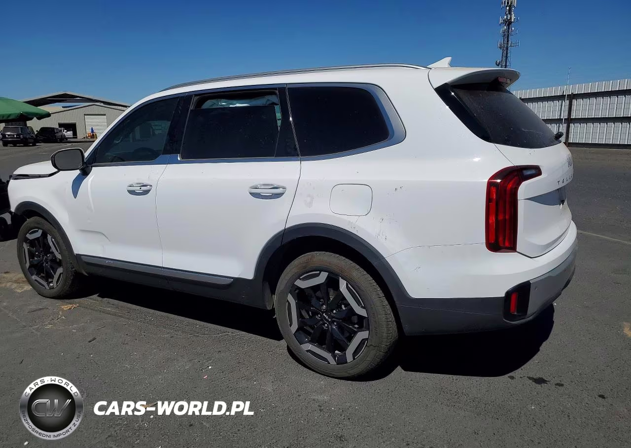 2023 Kia Telluride S VIN:5XYP64GC9PG383249 - 2