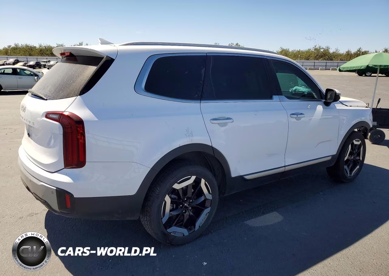 2023 Kia Telluride S VIN:5XYP64GC9PG383249 - 3