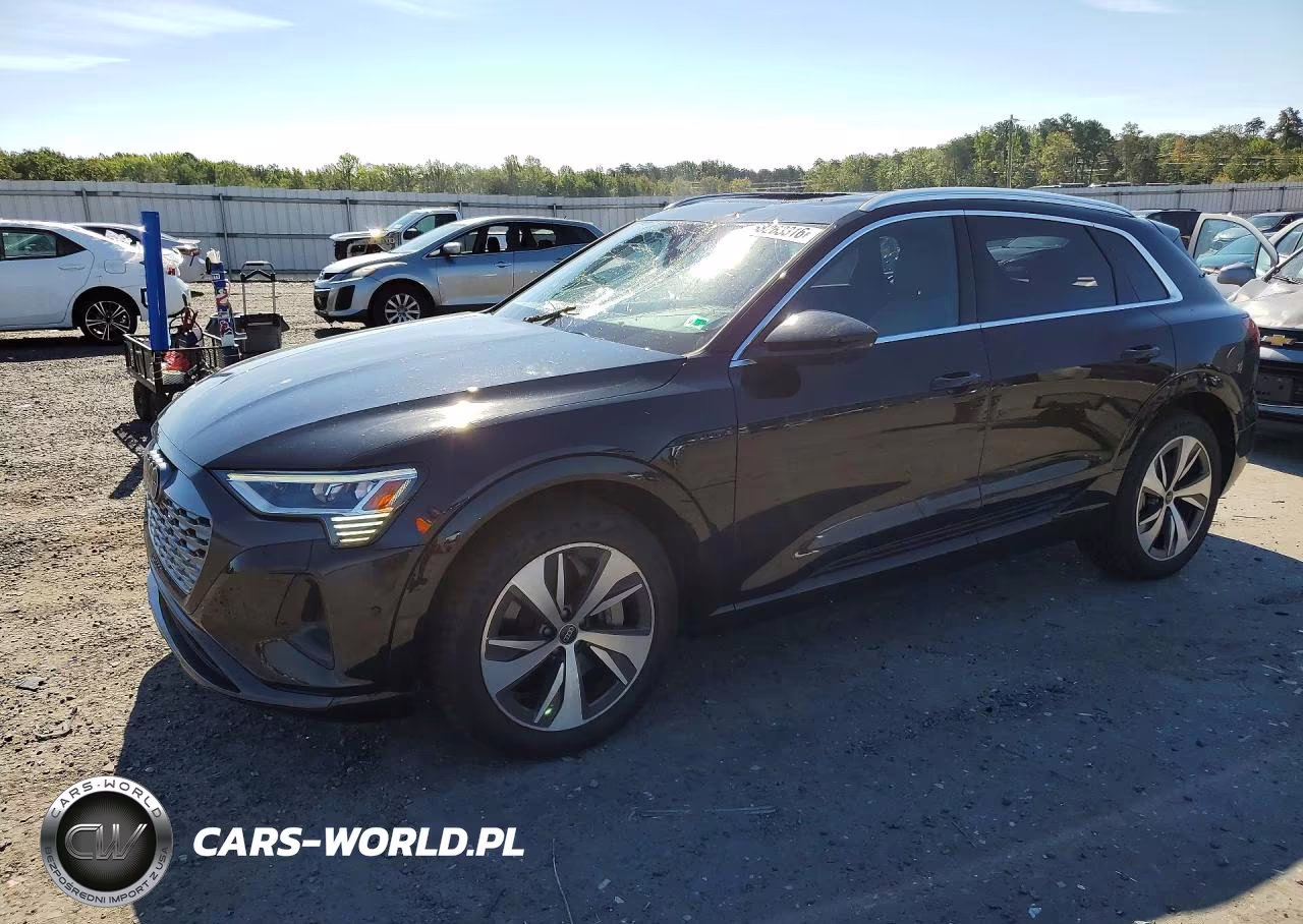 2024 Audi Q8 E-Tron Premium Plus VIN:WA15AAGE4RB036019 - 1