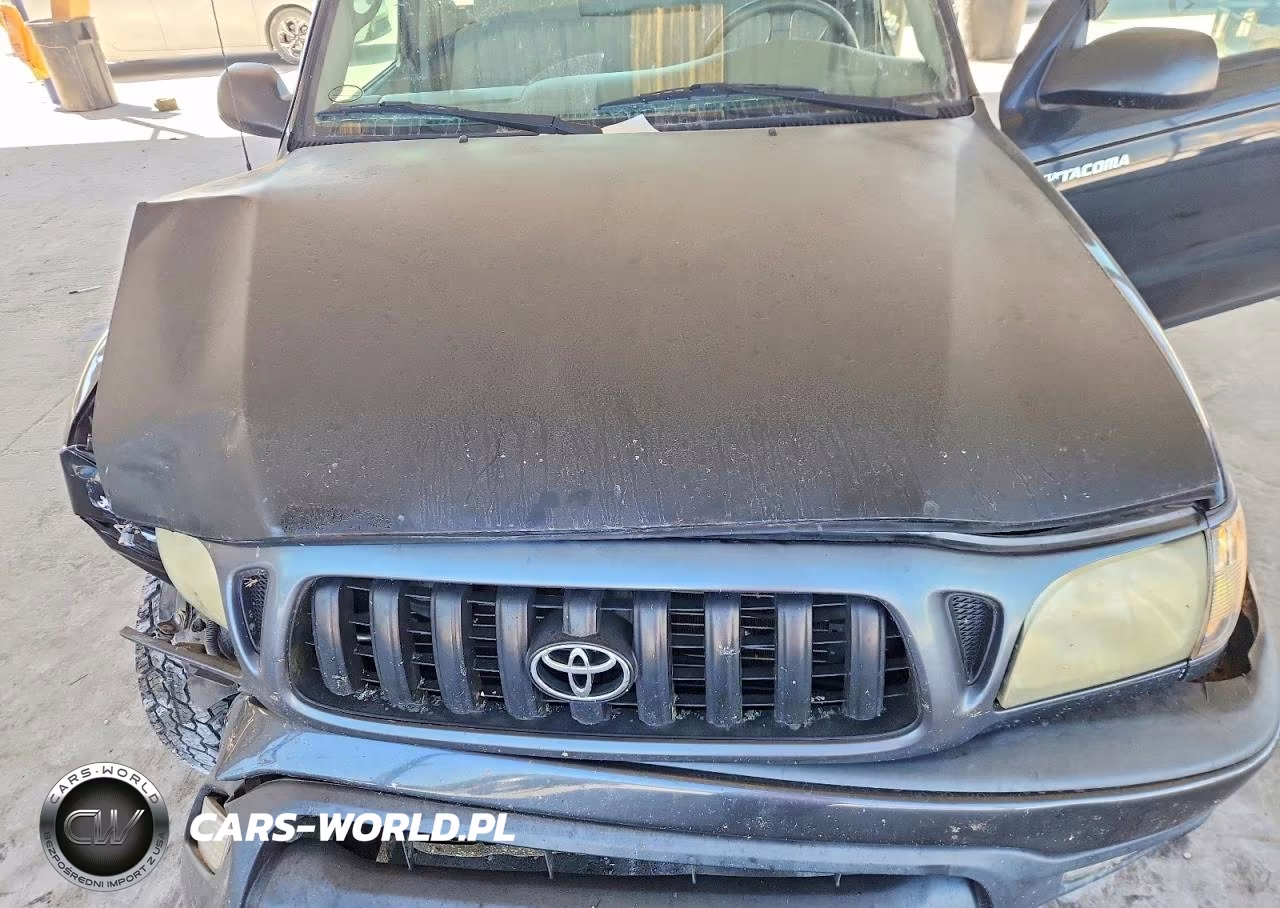 2004 Toyota Tacoma Prerunner VIN:5TENM92N84Z431103 - 11