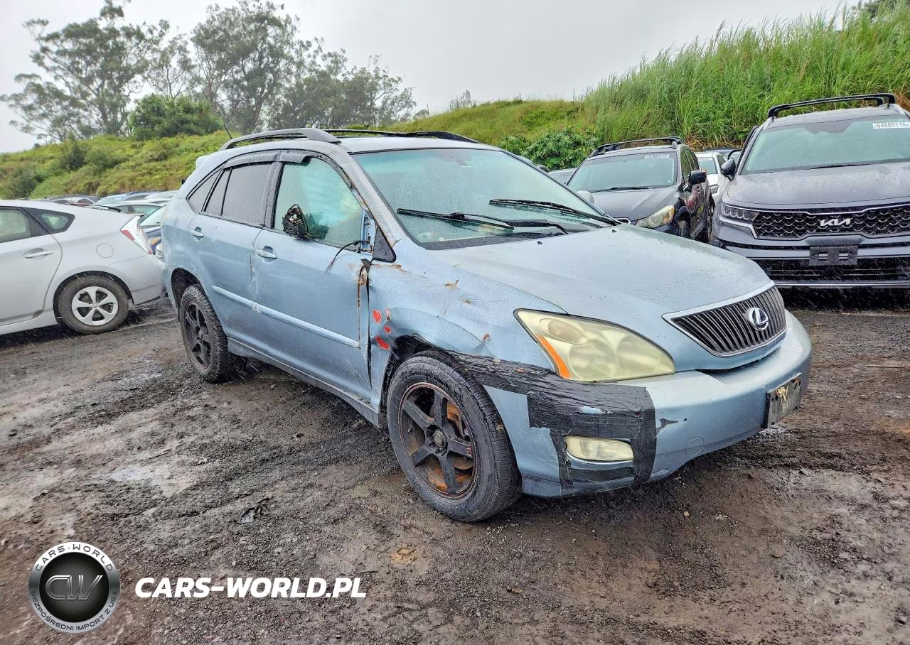2005 Lexus Rx 330 VIN:JTJGA31U650052462 - 4