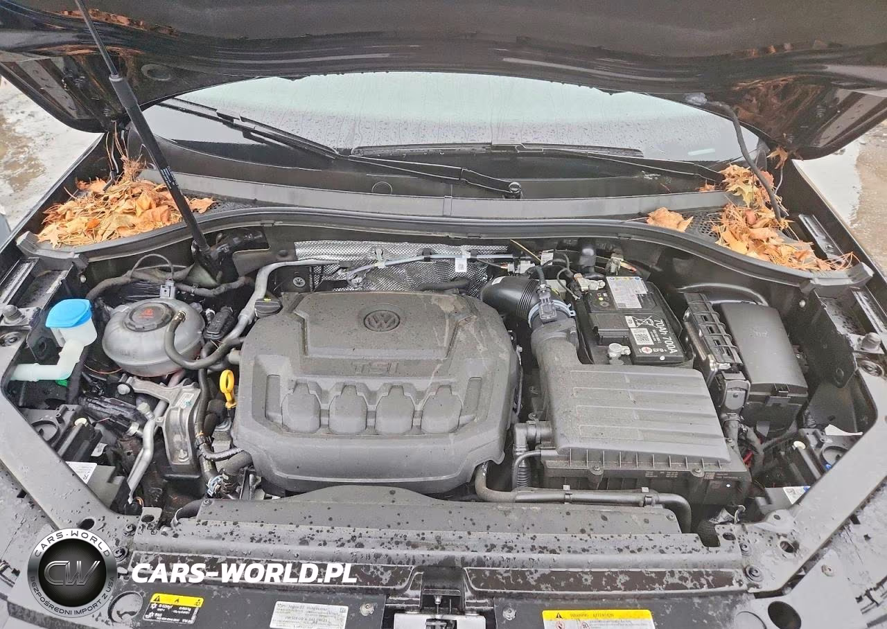 2024 Volkswagen Tiguan Se VIN:3VVMB7AX4RM084366 - 12
