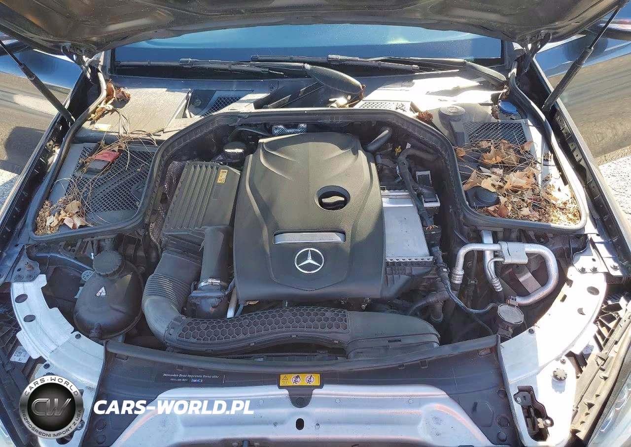 2015 Mercedes-Benz C 300 VIN:55SWF4JB9FU086286 - 11