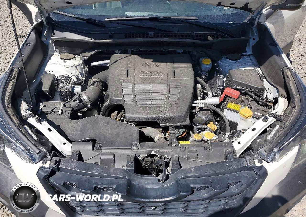 2022 Subaru Forester Wilderness VIN:JF2SKAMC3NH439023 - 11