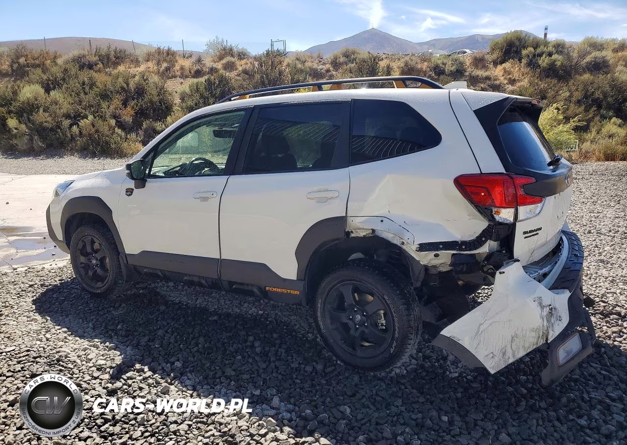 2022 Subaru Forester Wilderness VIN:JF2SKAMC3NH439023 - 2