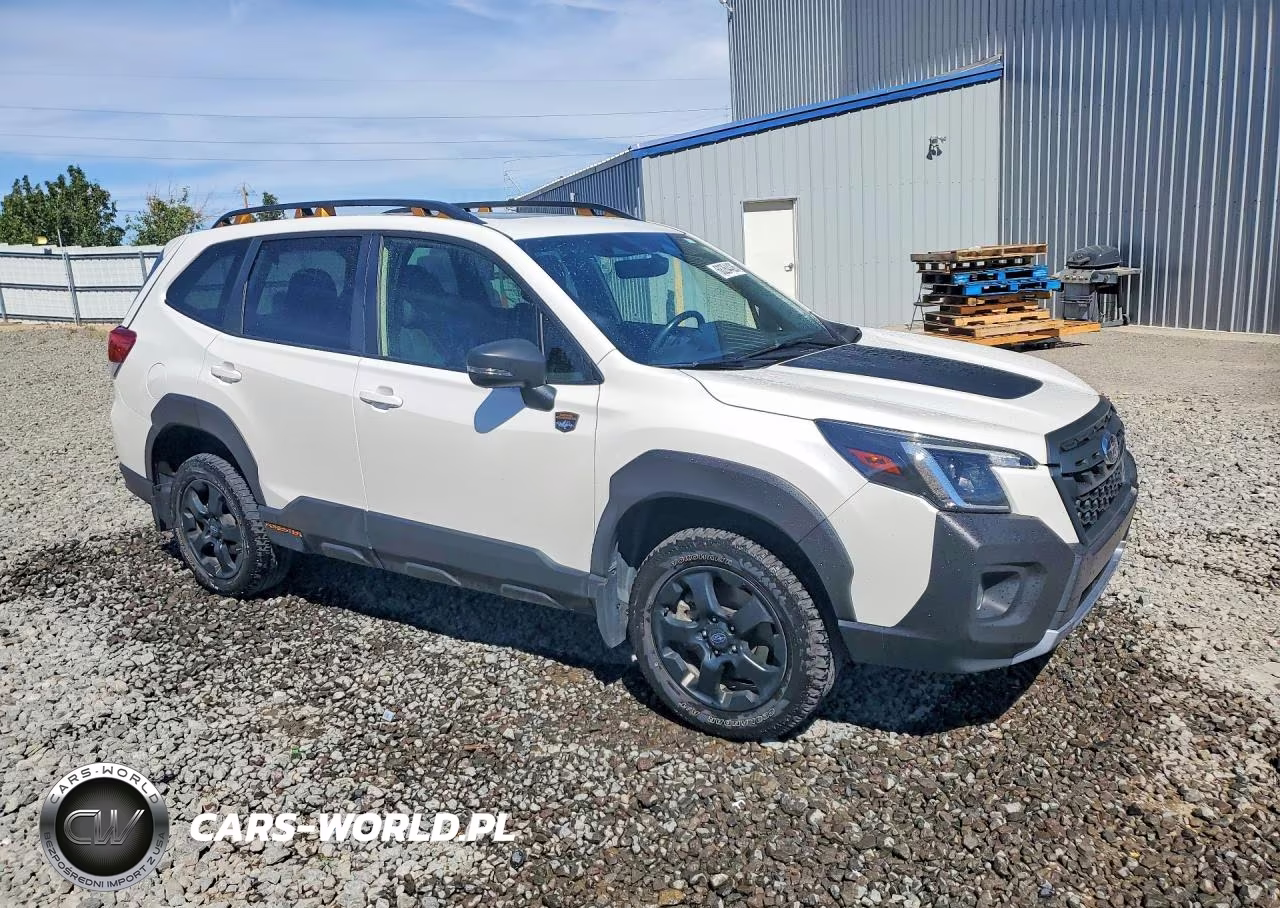 2022 Subaru Forester Wilderness VIN:JF2SKAMC3NH439023 - 4
