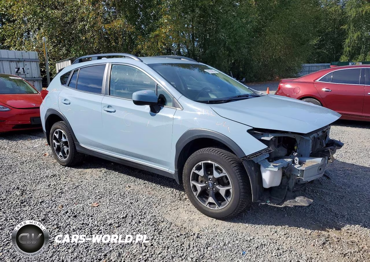2019 Subaru Crosstrek Premium VIN:JF2GTAEC4K8294295 - 4