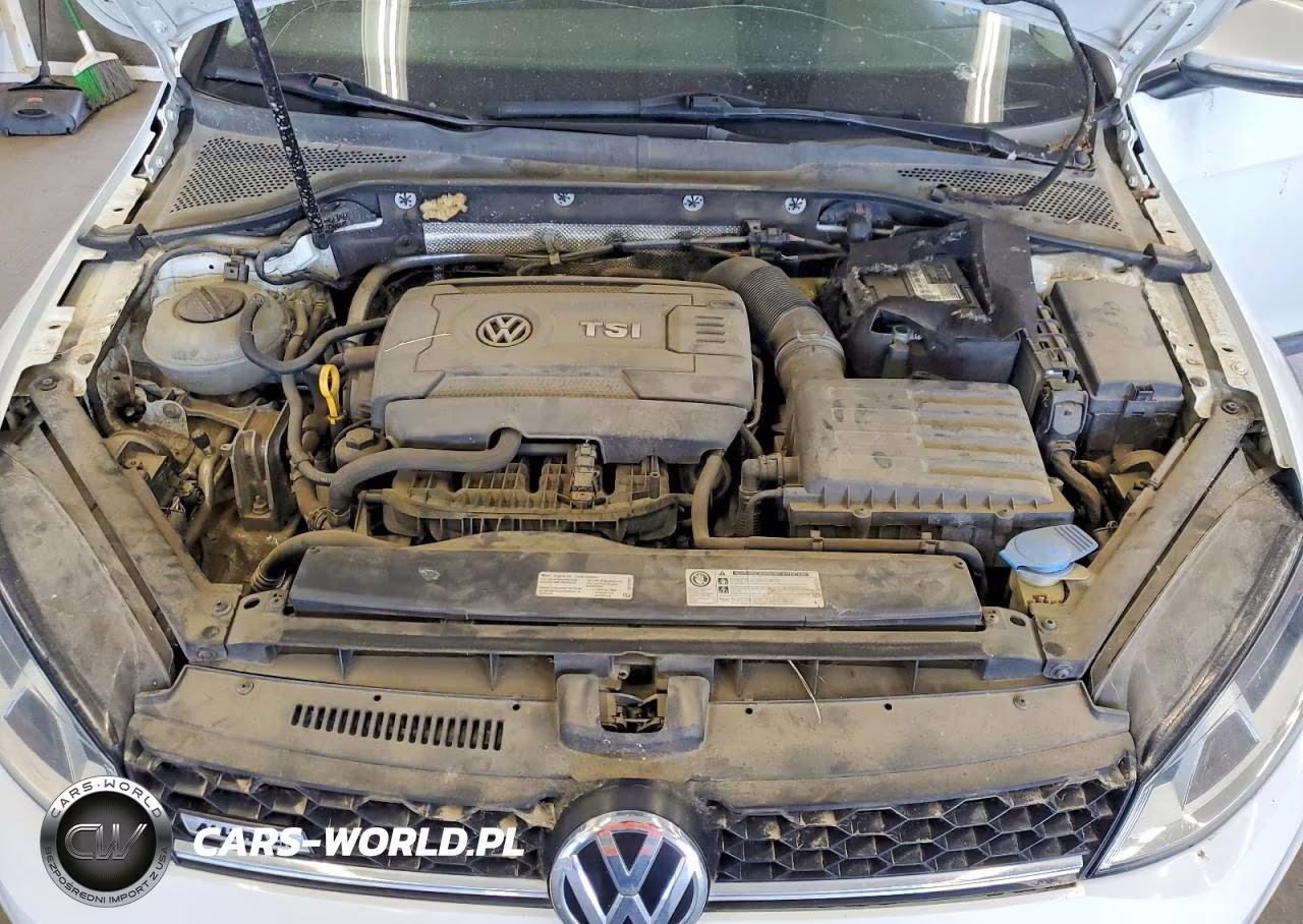 2017 Volkswagen Golf Alltrack S VIN:3VWH17AU2HM524265 - 11
