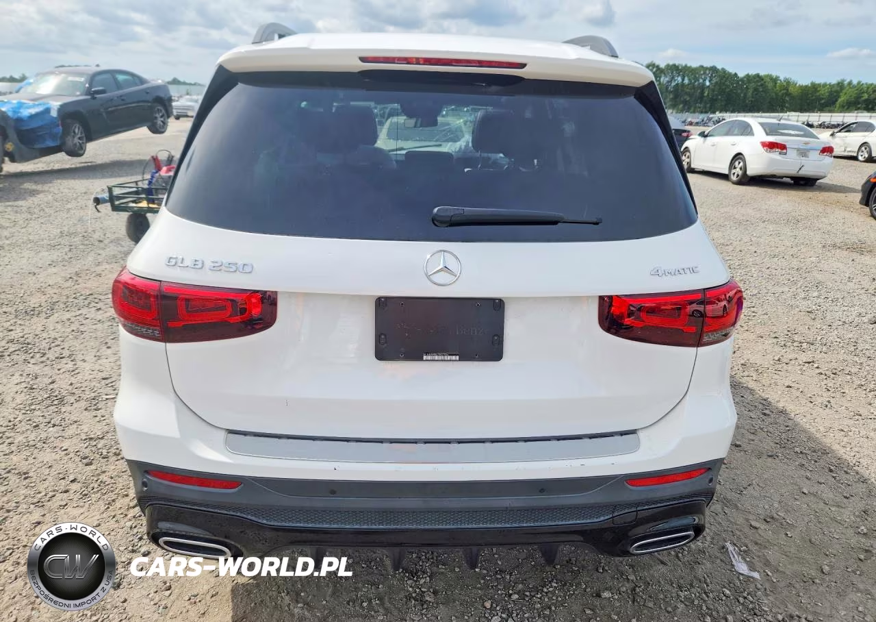 2020 Mercedes-Benz Glb 250 4Matic VIN:W1N4M4HB4LW027554 - 6