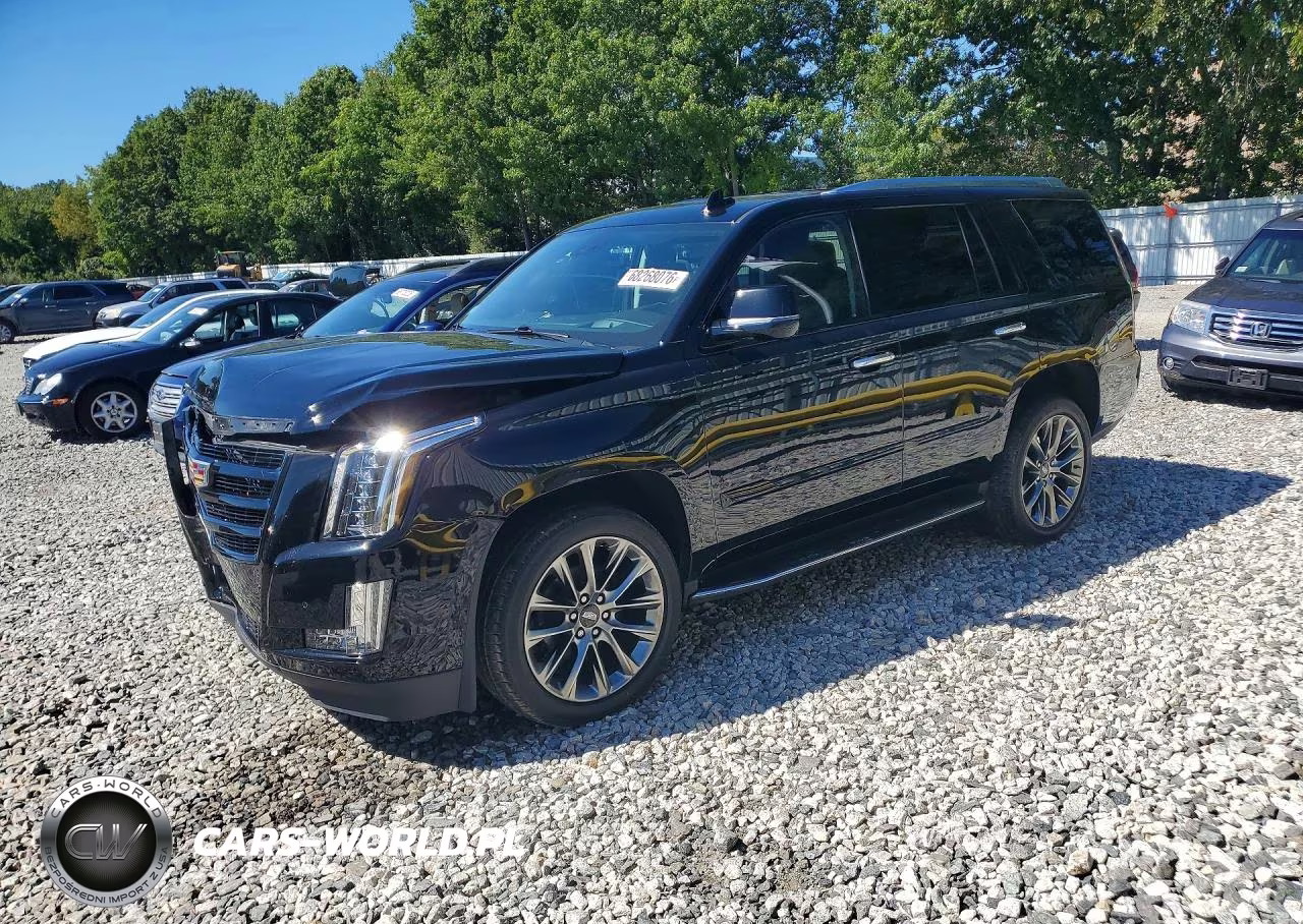 2020 Cadillac Escalade Luxury VIN:1GYS4BKJ8LR285202 - 1