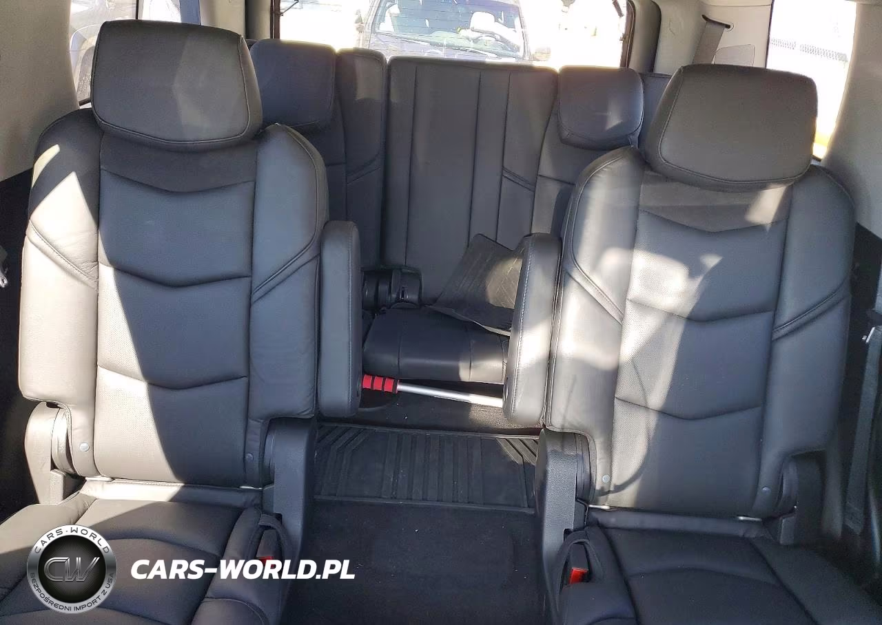 2020 Cadillac Escalade Luxury VIN:1GYS4BKJ8LR285202 - 10