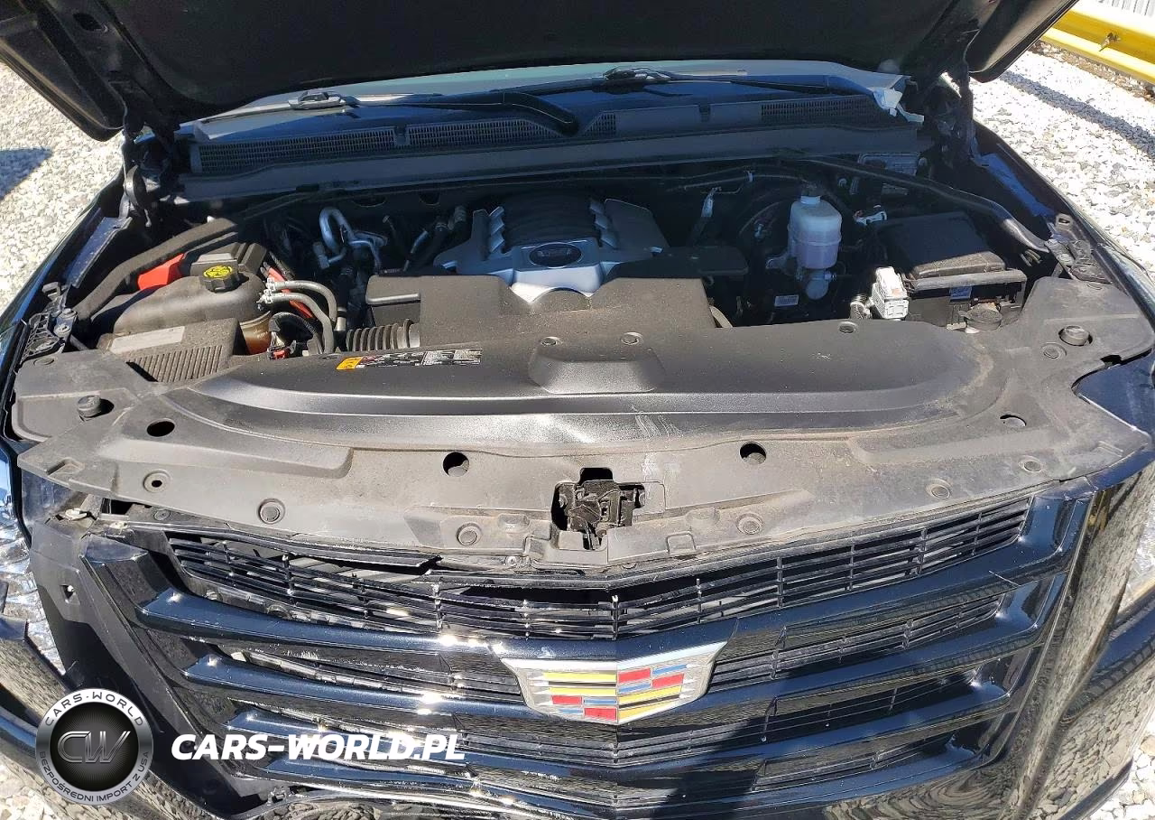 2020 Cadillac Escalade Luxury VIN:1GYS4BKJ8LR285202 - 12