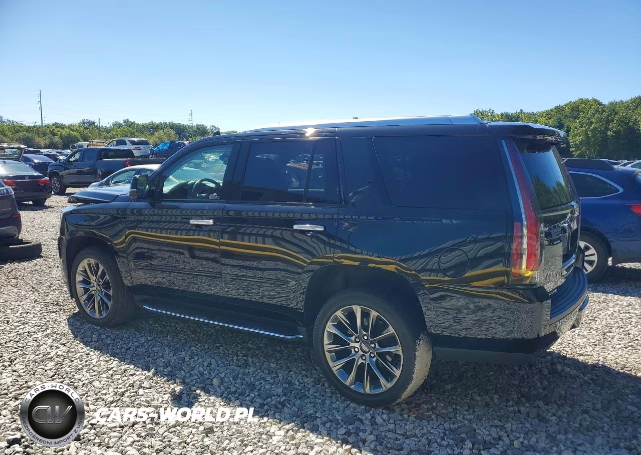 2020 Cadillac Escalade Luxury VIN:1GYS4BKJ8LR285202 - 2