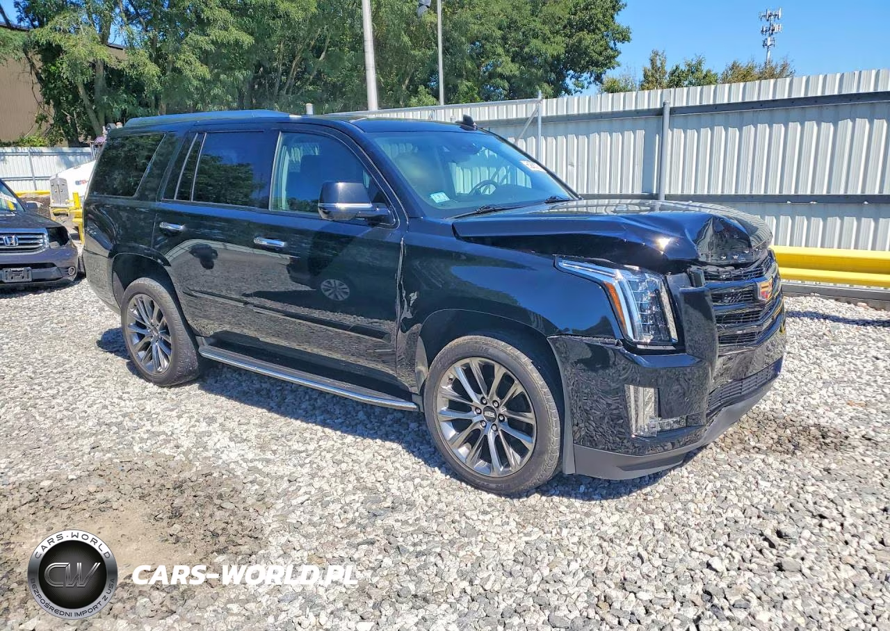 2020 Cadillac Escalade Luxury VIN:1GYS4BKJ8LR285202 - 4