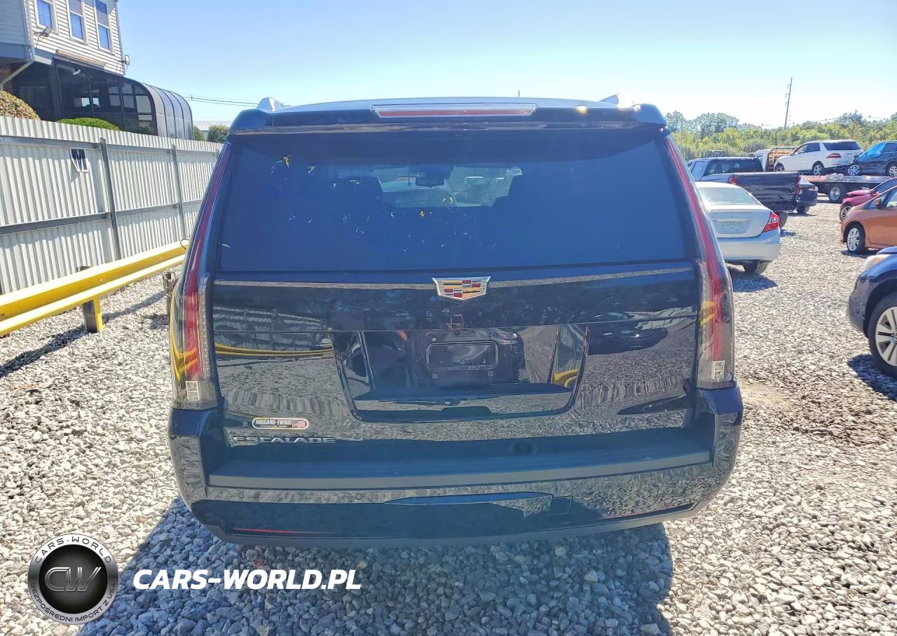 2020 Cadillac Escalade Luxury VIN:1GYS4BKJ8LR285202 - 6