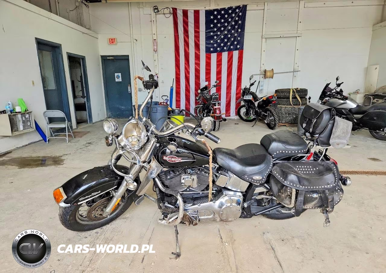 2005 Harley-Davidson Flstci Anniversary VIN:1HD1BWB135Y047053 - 3